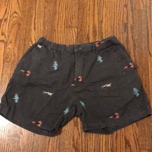 Chubbies shorts with pattern
